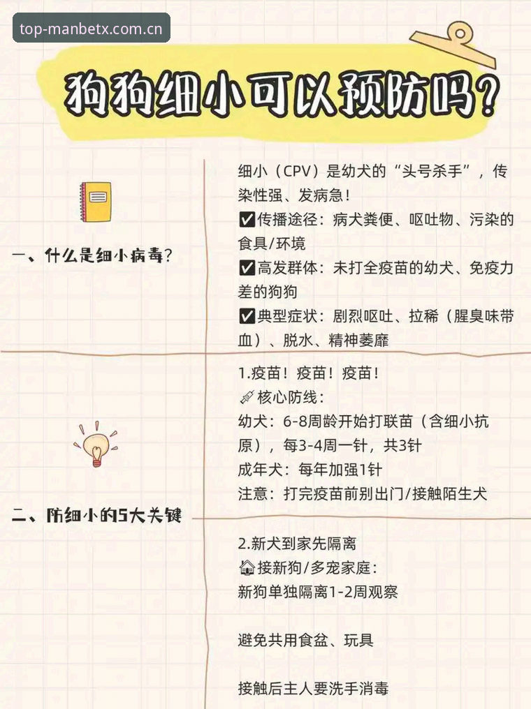 狗万安全可靠吗 狗万安全可靠吗?一份新手入门的全面指南